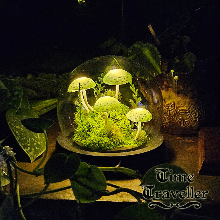 Small Mushroom Globe r0019