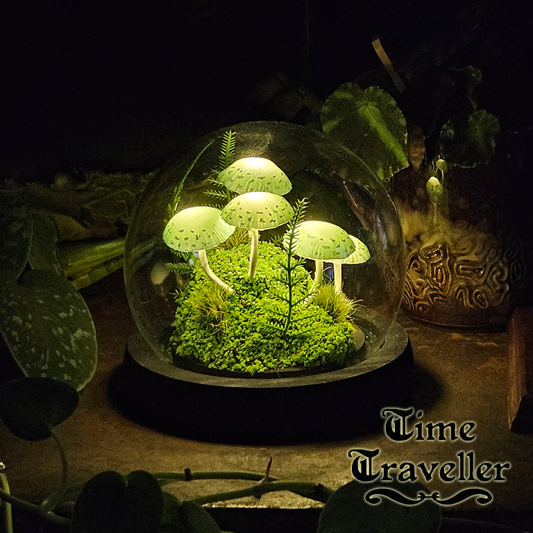 Small Mushroom Globe r0019