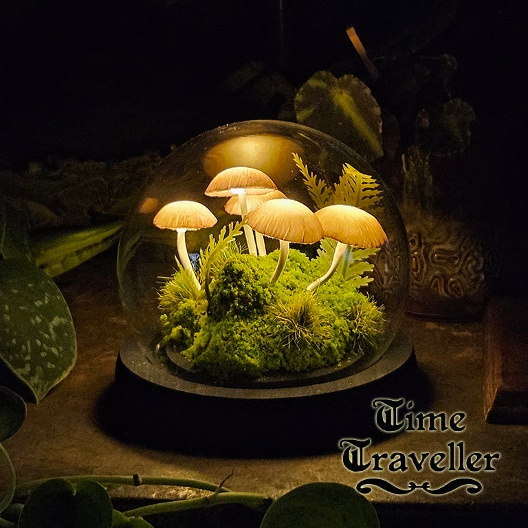 Small Mushroom Globe r0021