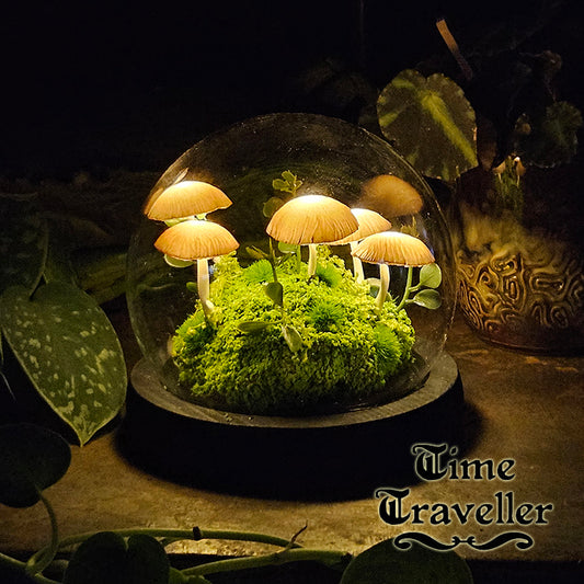 Small Mushroom Globe r0022