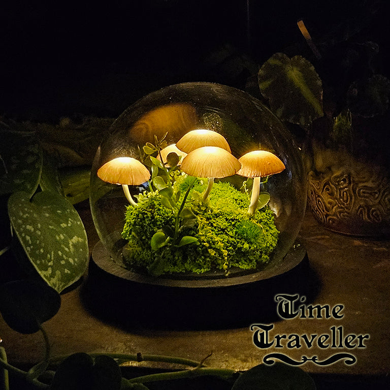 Small Mushroom Globe r0022