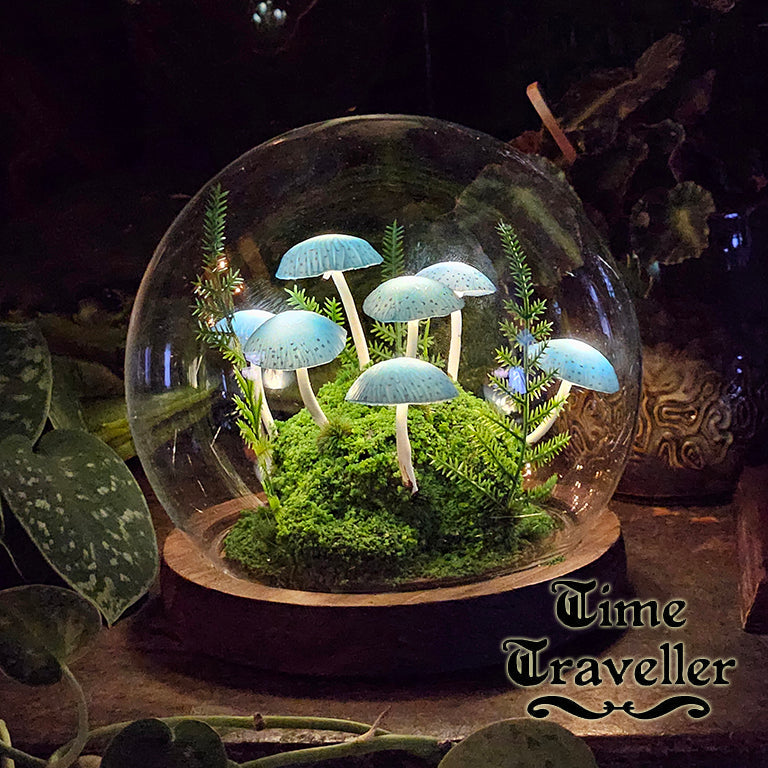 Medium Mushroom Globe r0024