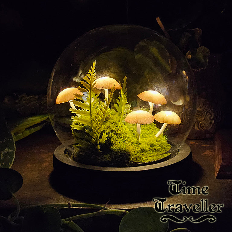 Medium Mushroom Globe r0029