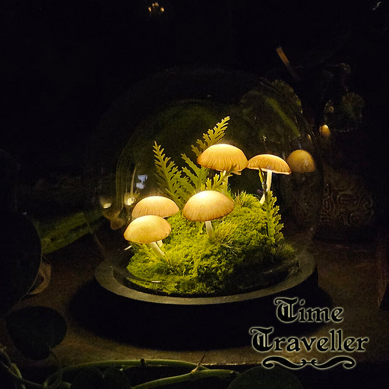 Medium Mushroom Globe r0029