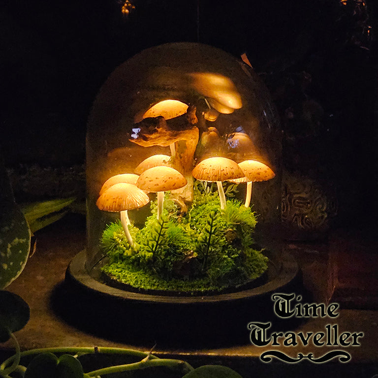 Mushroom Dome g0005