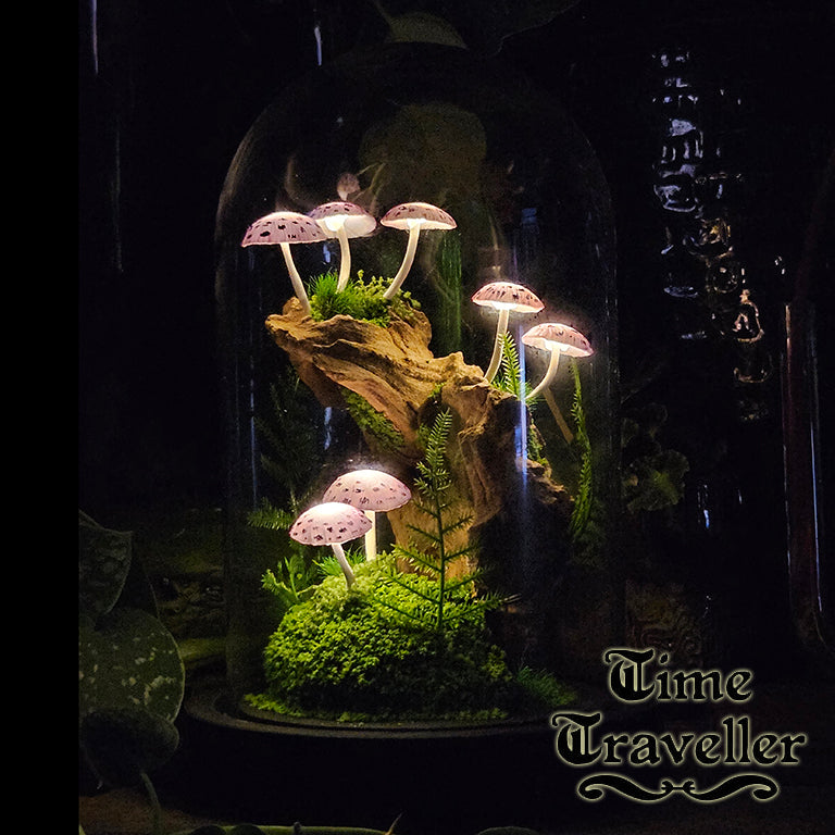 Mushroom Dome g0006