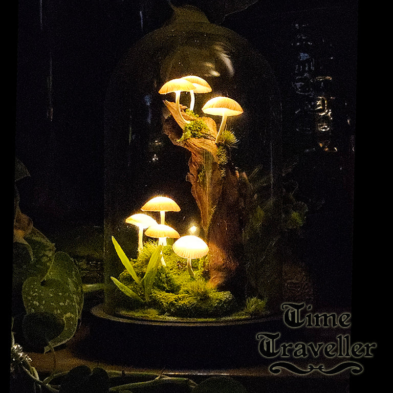 Mushroom Dome g0011