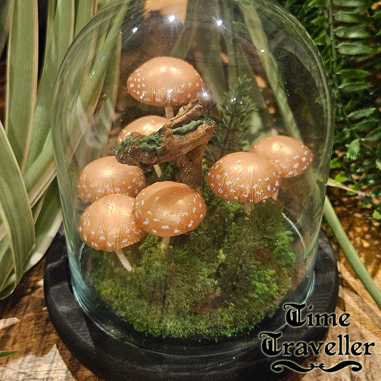 Mushroom Dome g0005