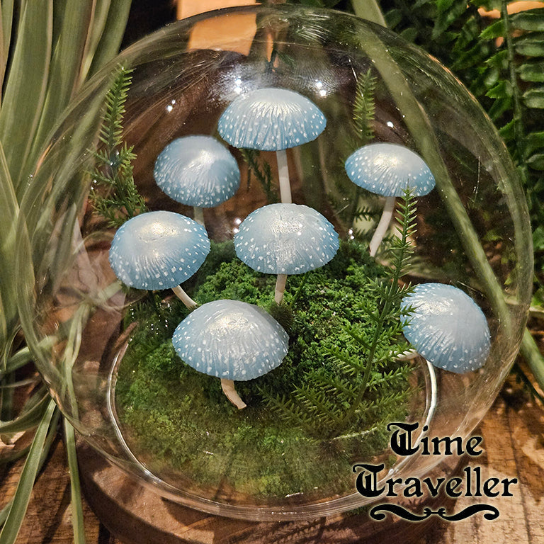Medium Mushroom Globe r0024