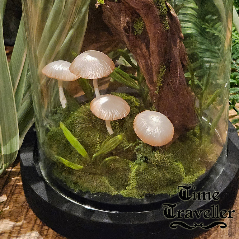 Mushroom Dome g0011