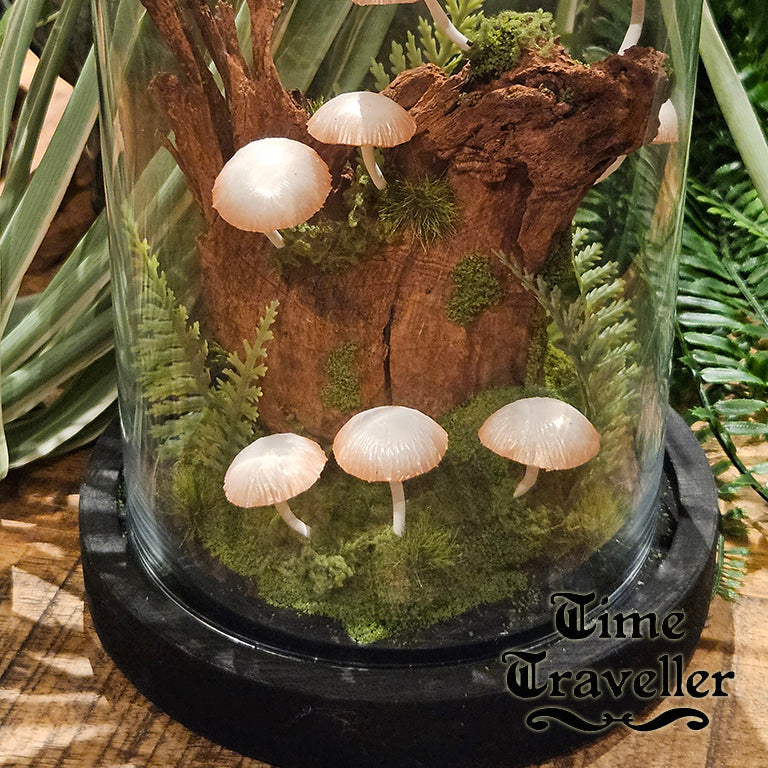 Mushroom Dome g0012