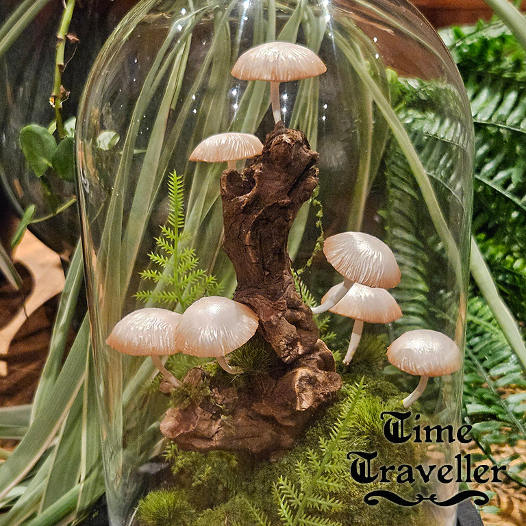 Mushroom Dome g0009