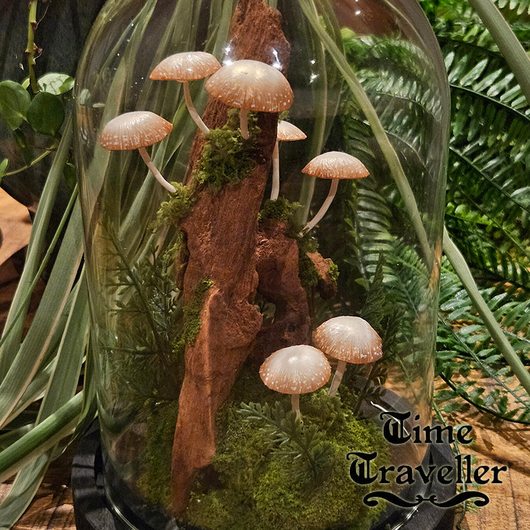 Mushroom Dome g0008