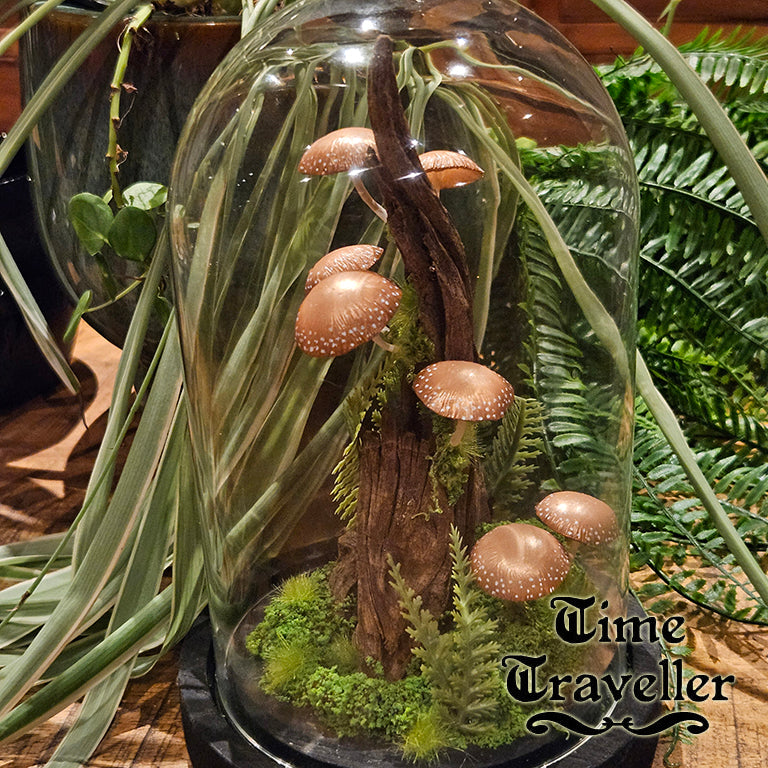 Mushroom Dome g0007