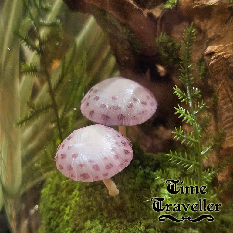 Mushroom Dome g0006