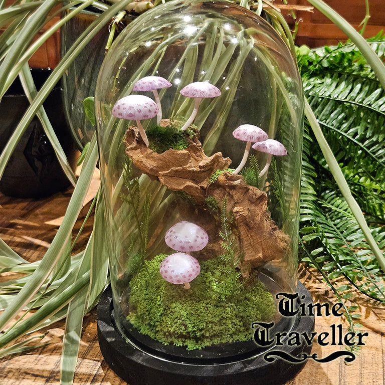 Mushroom Dome g0006