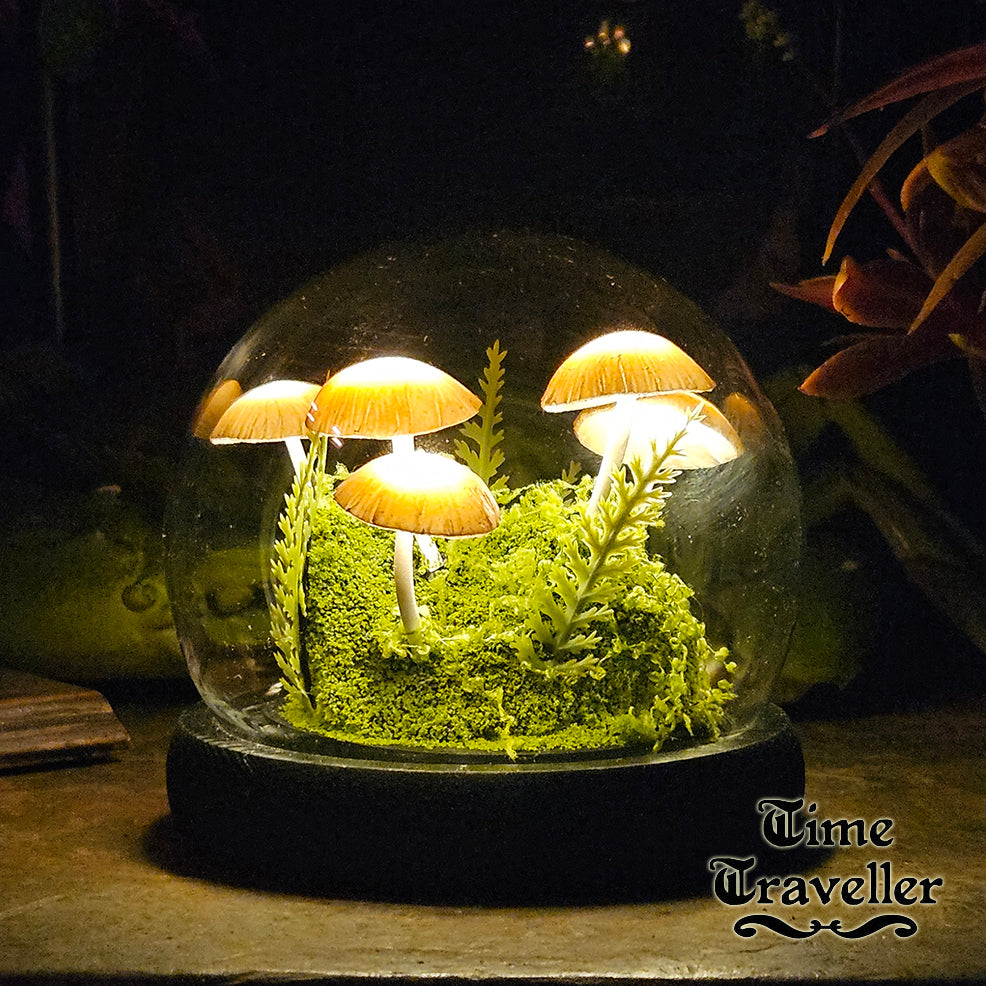 SomAbito Glass Globe Mashroom 3D 【公式通販】