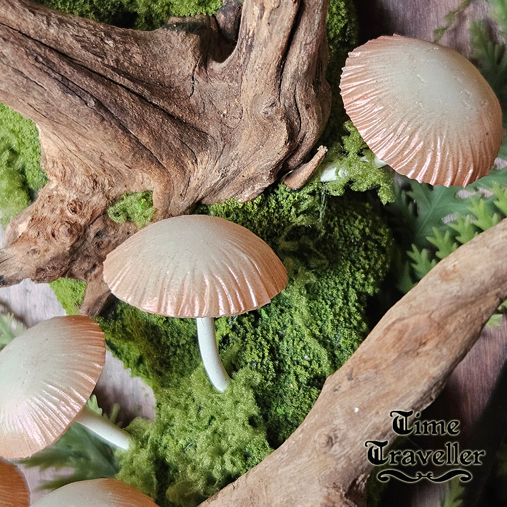 Mushroom frame w0020