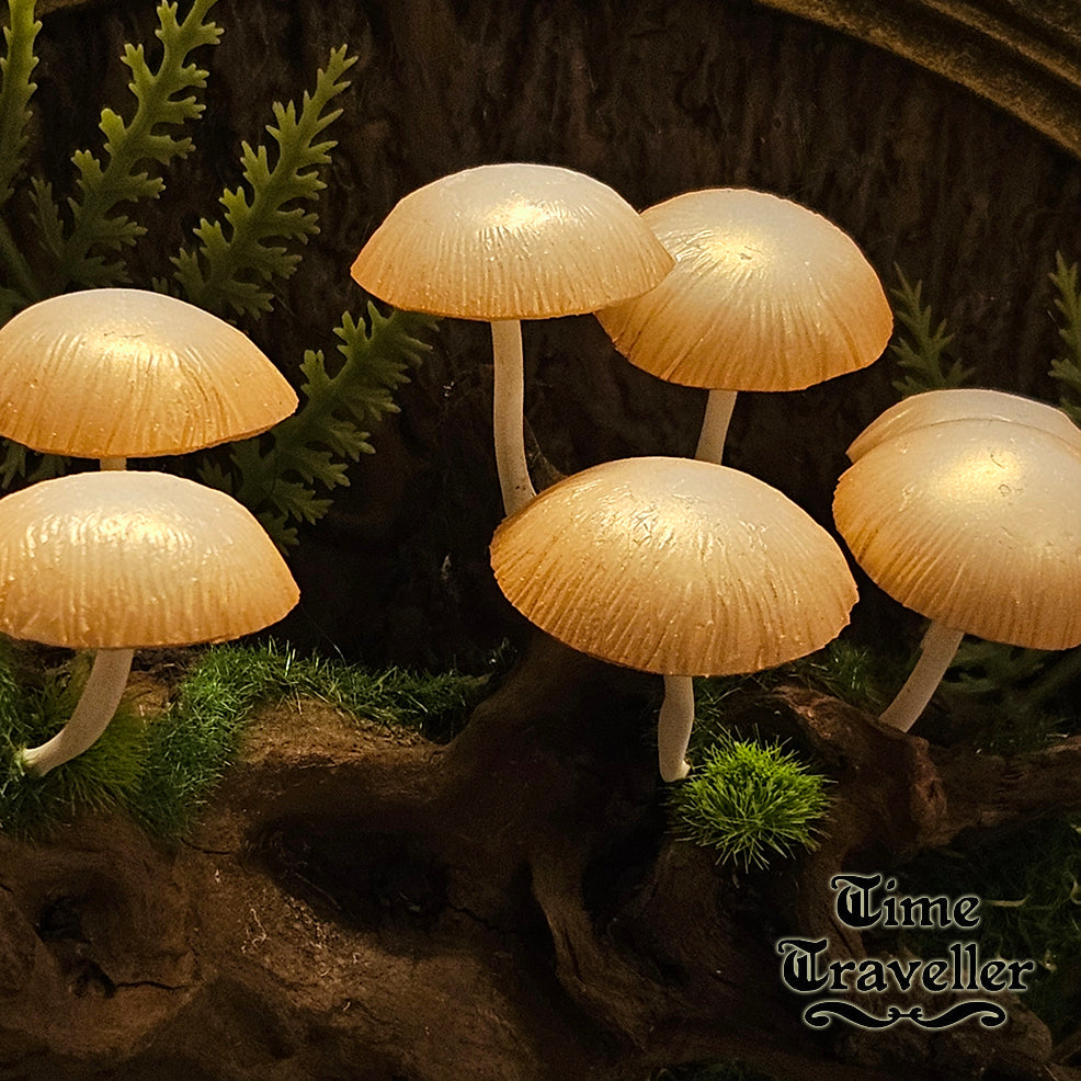 Mushroom frame w0029