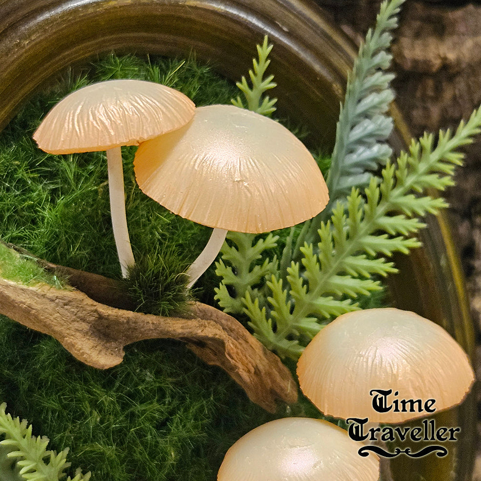 Mushroom frame w0027
