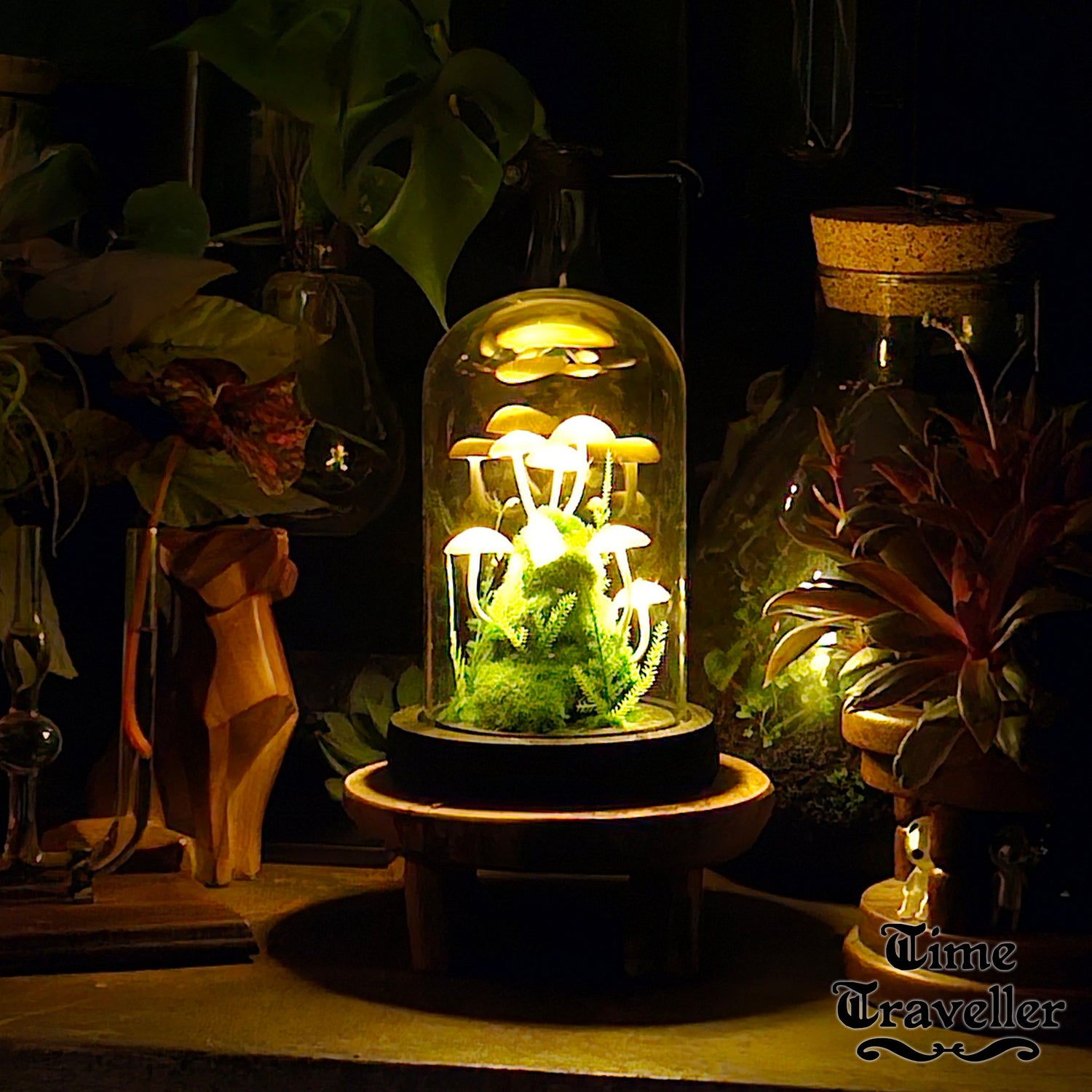 Magical Mushroom Lights