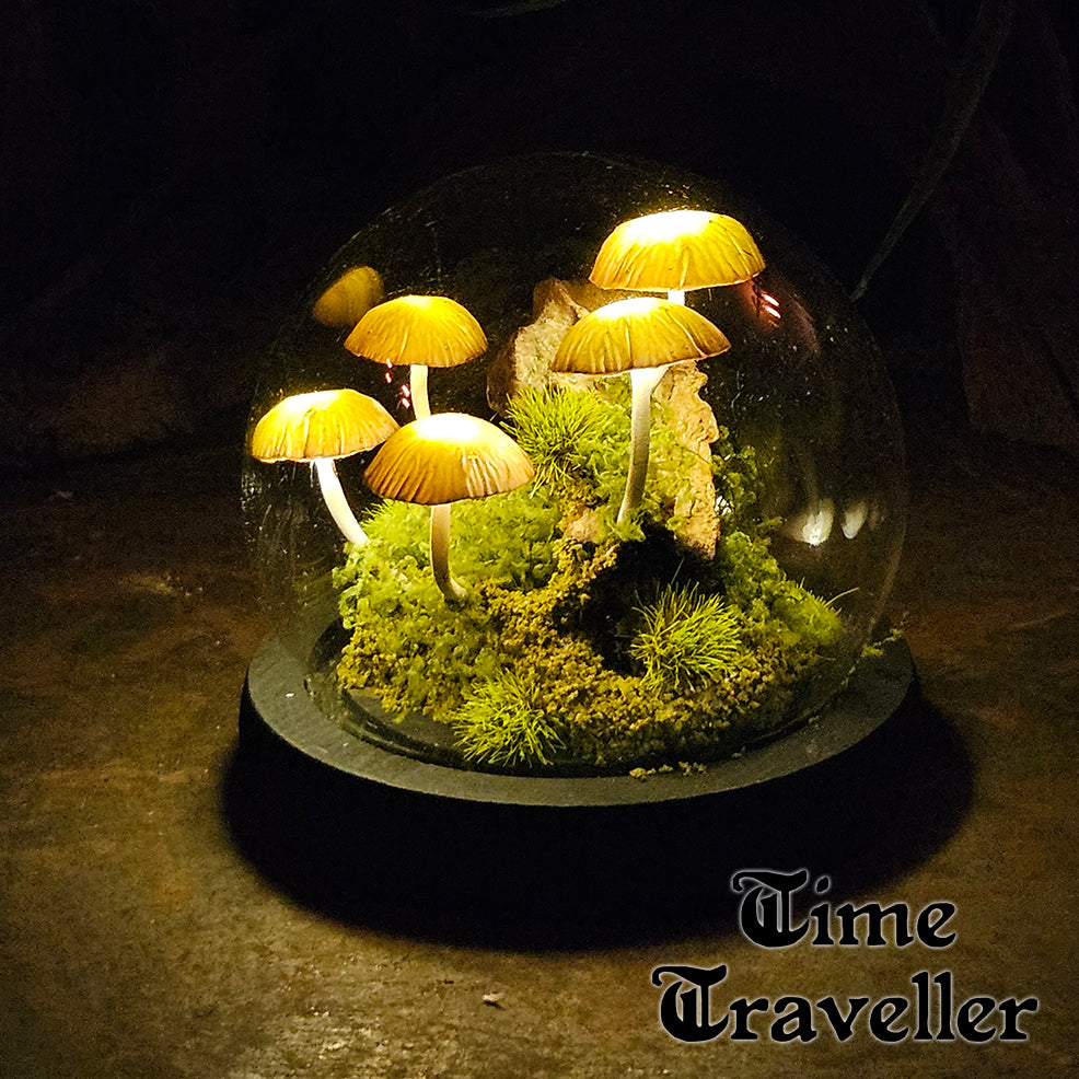 Small Mushroom Globe r0013