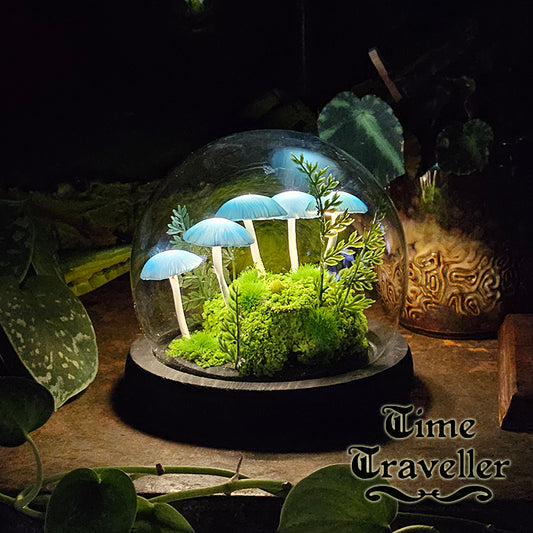 Small Mushroom Globe r0018