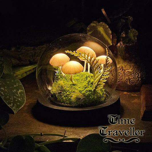 Small Mushroom Globe r0021