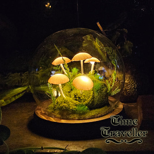 Medium Mushroom Globe r0025