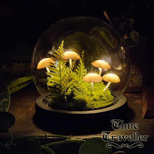 Medium Mushroom Globe r0029