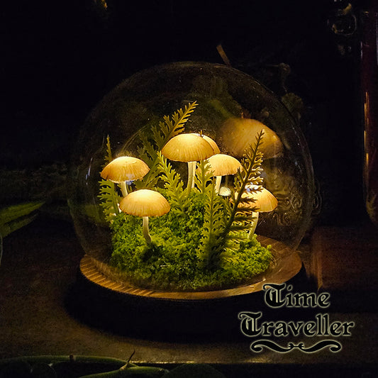 Medium Mushroom Globe r0030