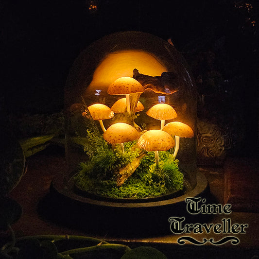 Mushroom Dome g0005