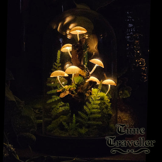 Mushroom Dome g0009