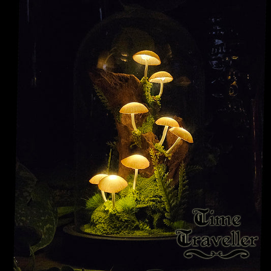 Mushroom Dome g0010