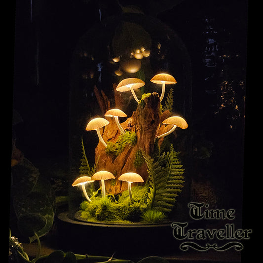Mushroom Dome g0012