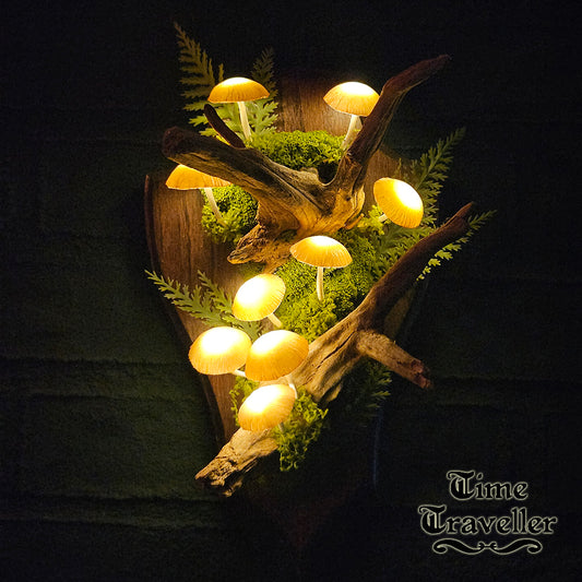 Mushroom frame w0020