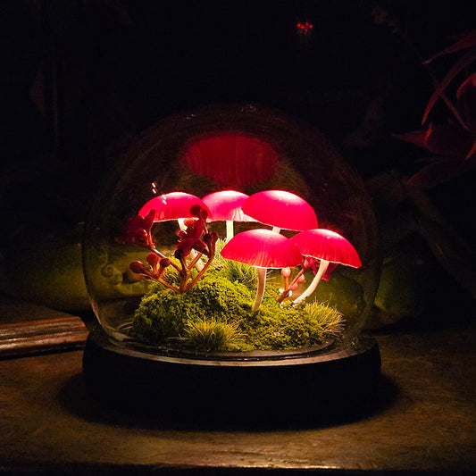 Small Mushroom Globe r0035