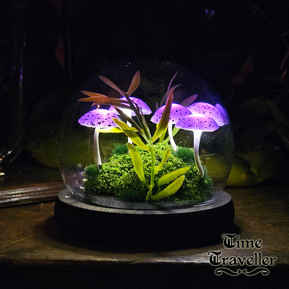 Small Mushroom Globe r0037