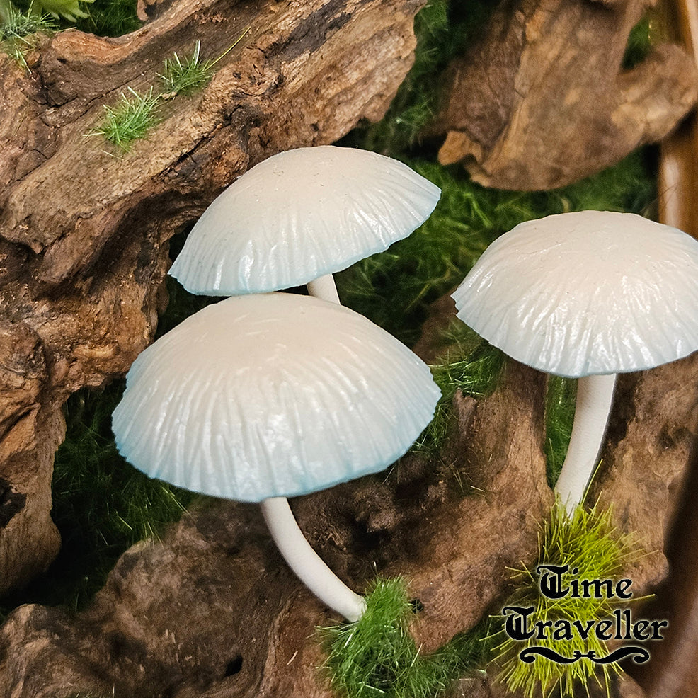 Mushroom frame w0030