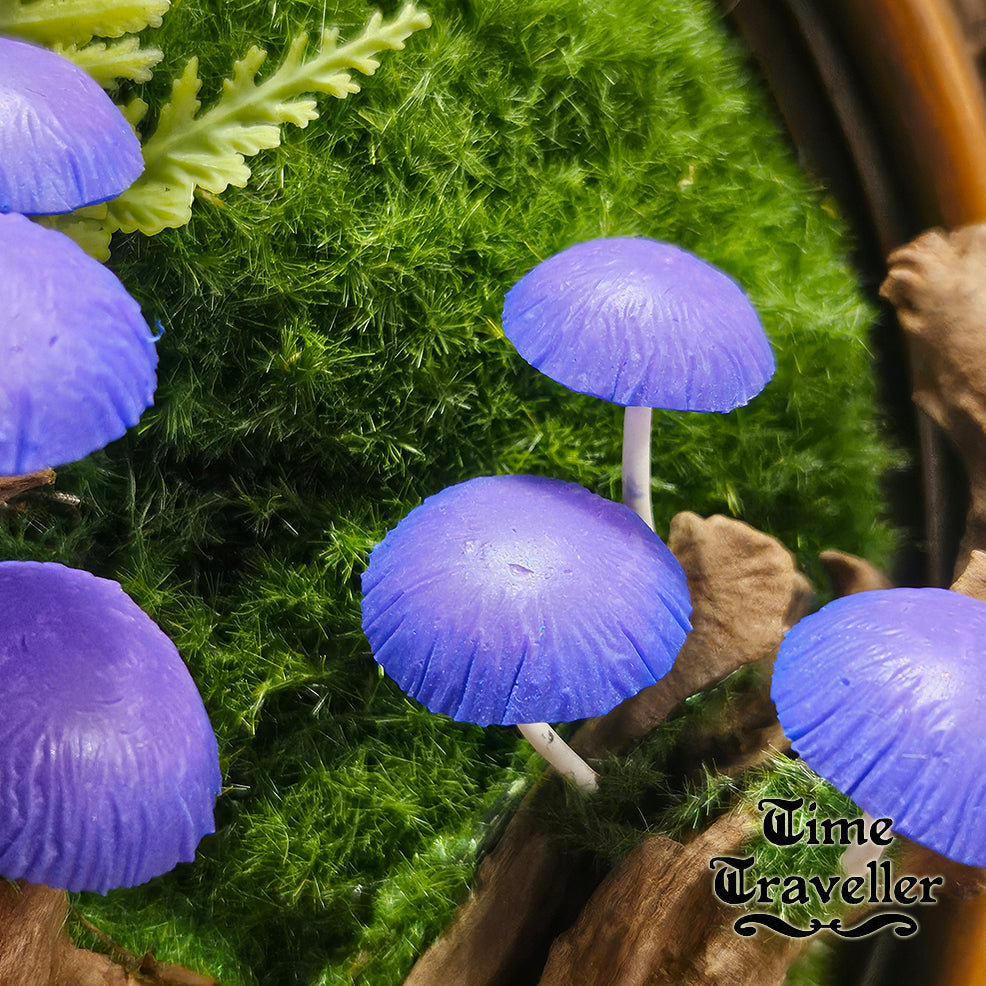 Mushroom frame w0024