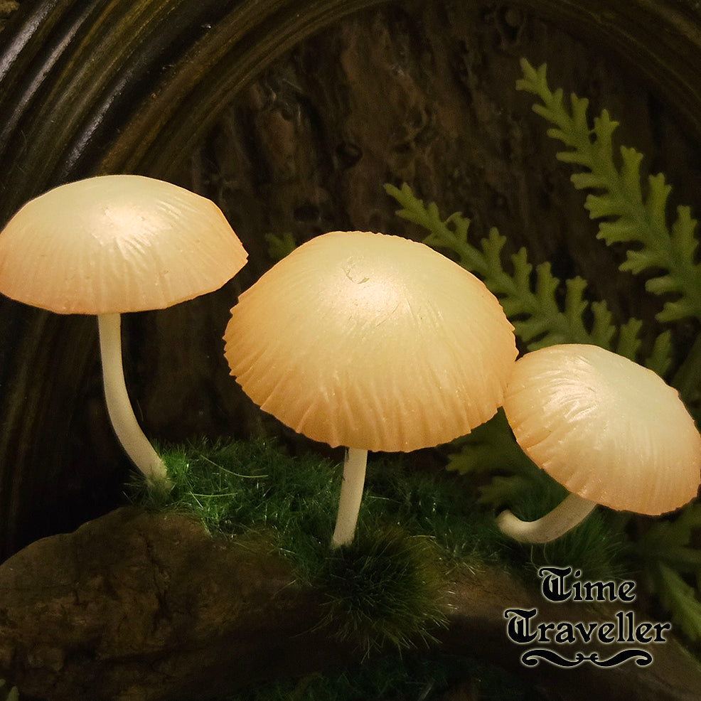 Mushroom frame w0026