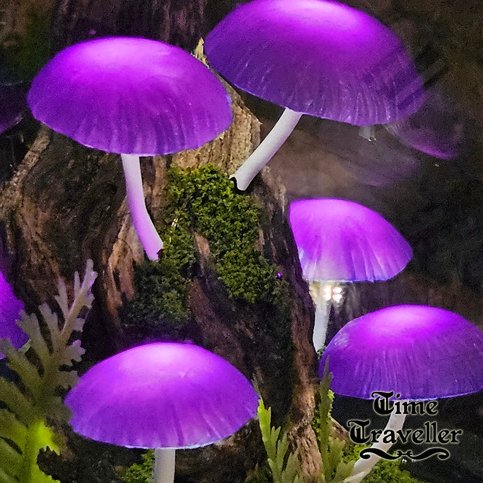 Big Mushroom Globe r0046