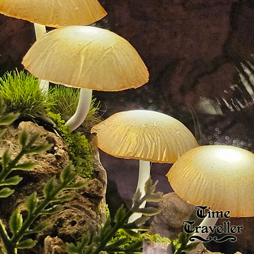 Big Mushroom Globe r0047